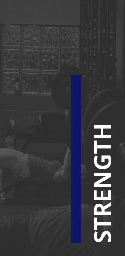 Our Gyms Cross Training Program In Petaluma CA